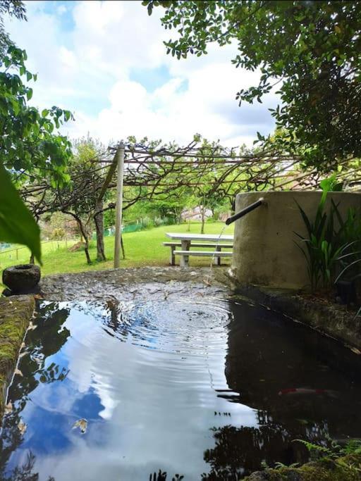 A Vina De Lina. Turismo Rural Con Piscina Y Finca. ปอนเตเบดรา ภายนอก รูปภาพ