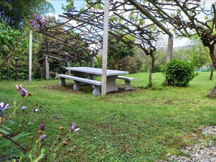 A Vina De Lina. Turismo Rural Con Piscina Y Finca. ปอนเตเบดรา ภายนอก รูปภาพ